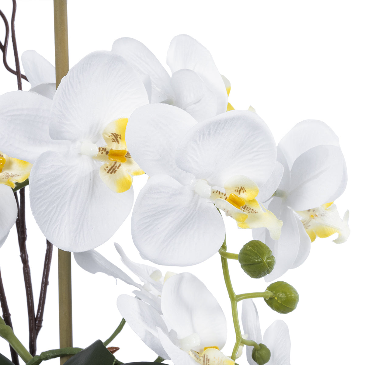 WHITE ORCHID 21120 Διακοσμητικό Φυτό Λευκή Ορχιδέα Υ43cm