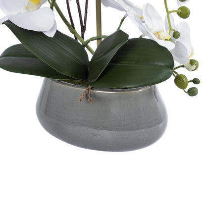 WHITE ORCHID 21120 Διακοσμητικό Φυτό Λευκή Ορχιδέα Υ43cm