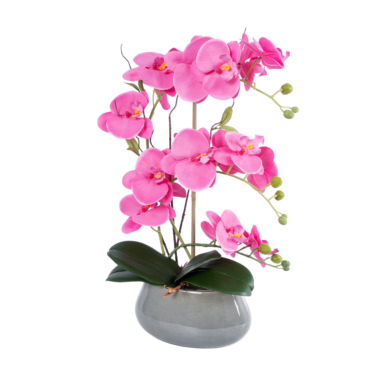 PINK ORCHID 21121 Διακοσμητικό Φυτό Έντονο Ροζ Ορχιδέα Υ43cm