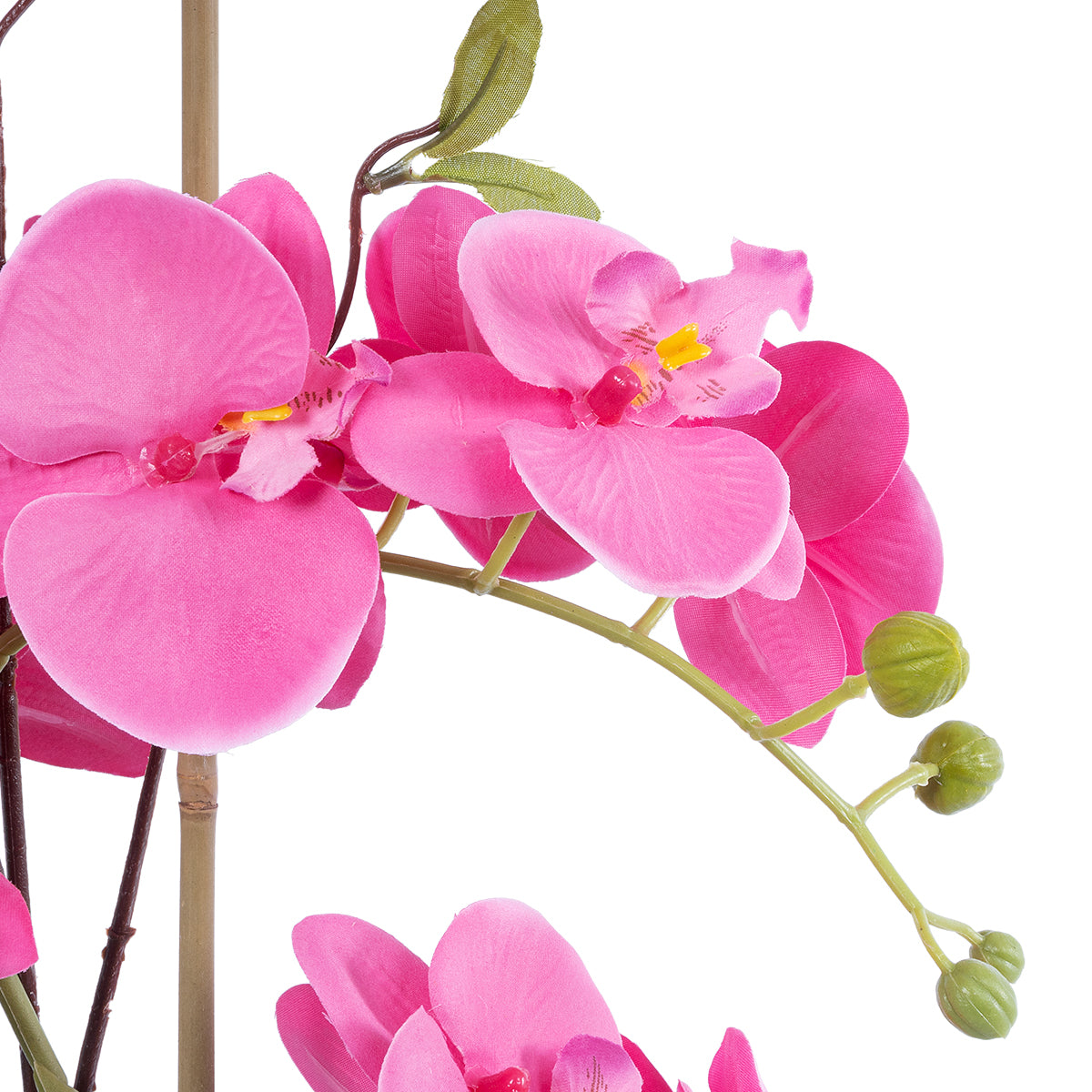 PINK ORCHID 21121 Διακοσμητικό Φυτό Έντονο Ροζ Ορχιδέα Υ43cm