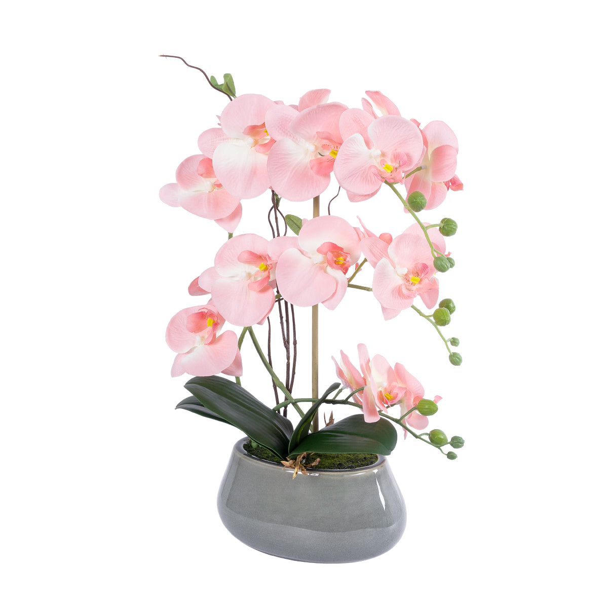 SALMON PINK ORCHID 21122 Διακοσμητικό Φυτό Ροζ-Πορτοκαλί Ορχιδέα Υ43cm