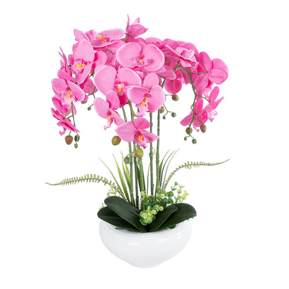 PINK ORCHID 21124 Διακοσμητικό Φυτό Ροζ Ορχιδέα Υ50cm