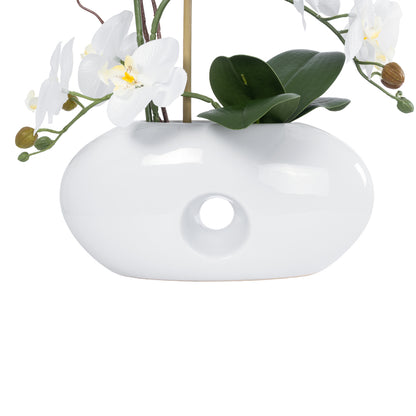 WHITE ORCHID 21125 Διακοσμητικό Φυτό Λευκή Ορχιδέα Υ42cm