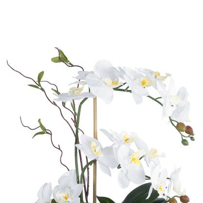 WHITE ORCHID 21125 Διακοσμητικό Φυτό Λευκή Ορχιδέα Υ42cm