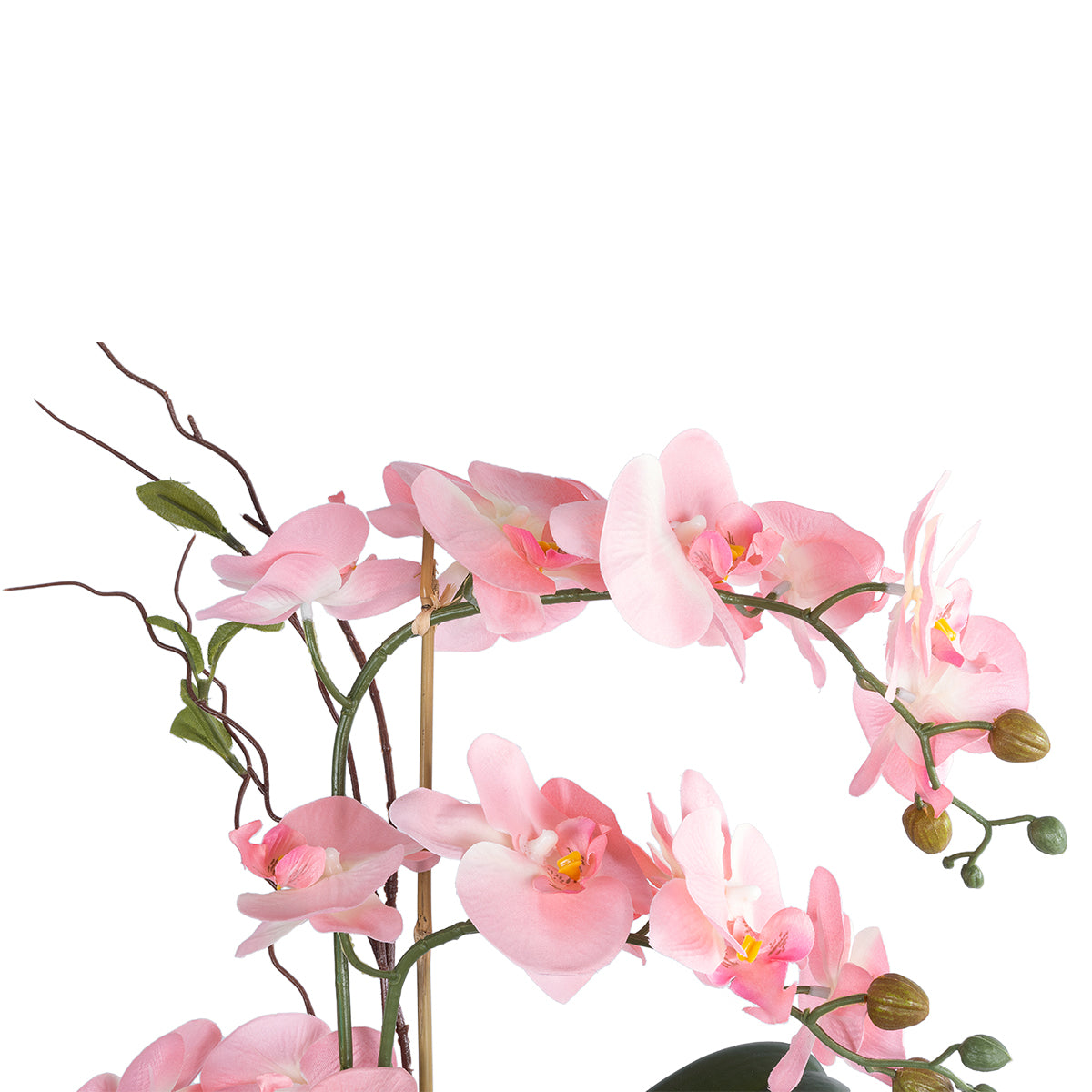 PINK ORCHID 21126 Διακοσμητικό Φυτό Ροζ Ορχιδέα Υ42cm