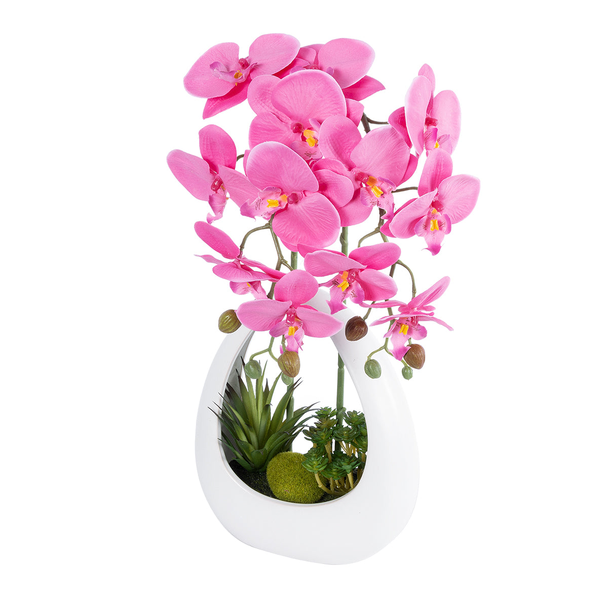 HOT PINK ORCHID 21127 Διακοσμητικό Φυτό Έντονο Ροζ Ορχιδέα Υ39cm