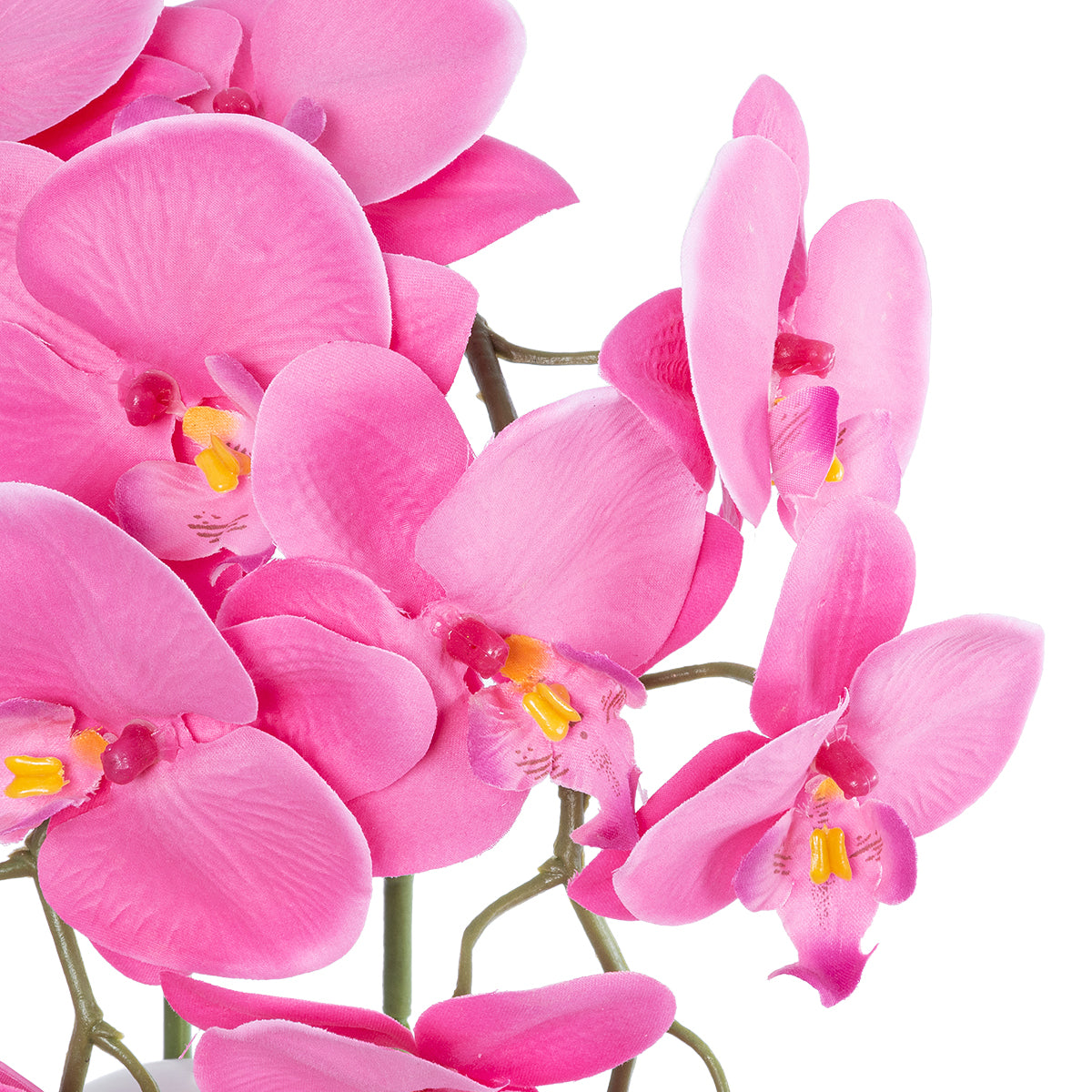 HOT PINK ORCHID 21127 Διακοσμητικό Φυτό Έντονο Ροζ Ορχιδέα Υ39cm