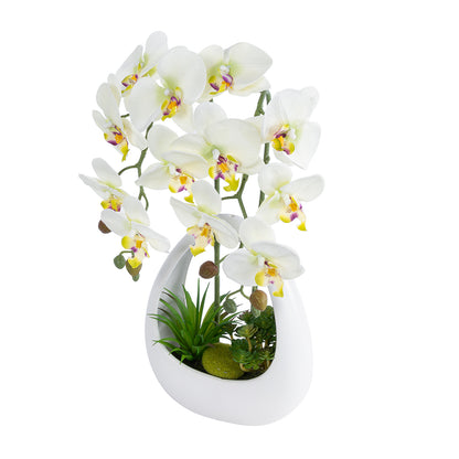 WHITE ORCHID 21128 Διακοσμητικό Φυτό Λευκή Ορχιδέα Υ39cm