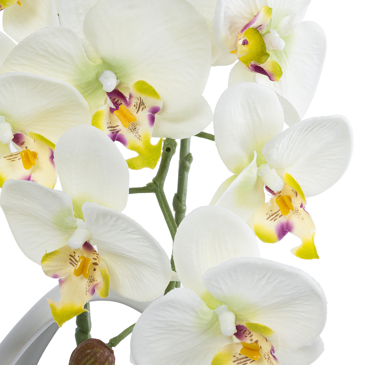 WHITE ORCHID 21128 Διακοσμητικό Φυτό Λευκή Ορχιδέα Υ39cm