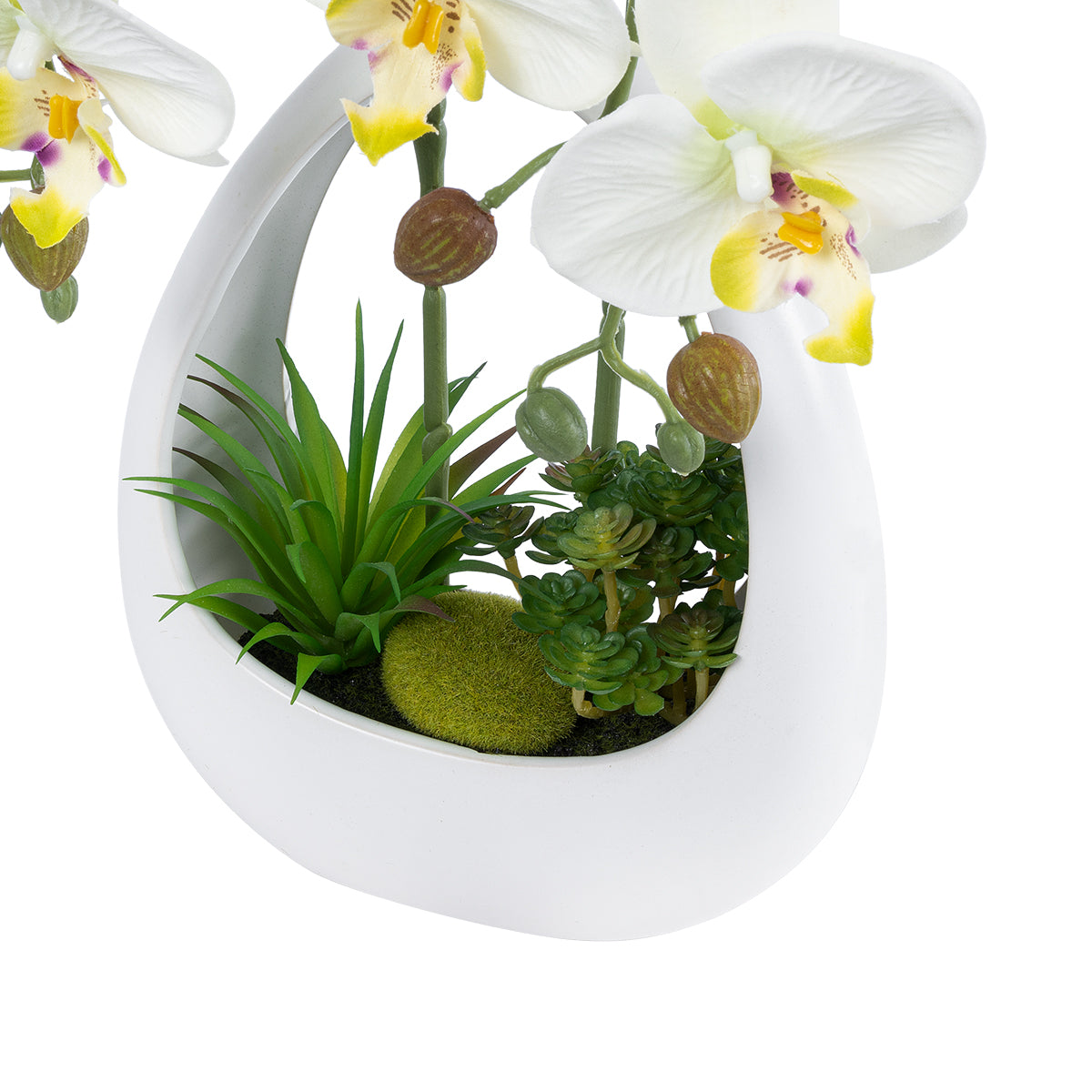 WHITE ORCHID 21128 Διακοσμητικό Φυτό Λευκή Ορχιδέα Υ39cm