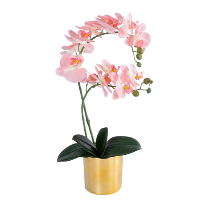 SALMON PINK ORCHID 21129 Διακοσμητικό Φυτό Φούξια Ορχιδέα Υ43cm