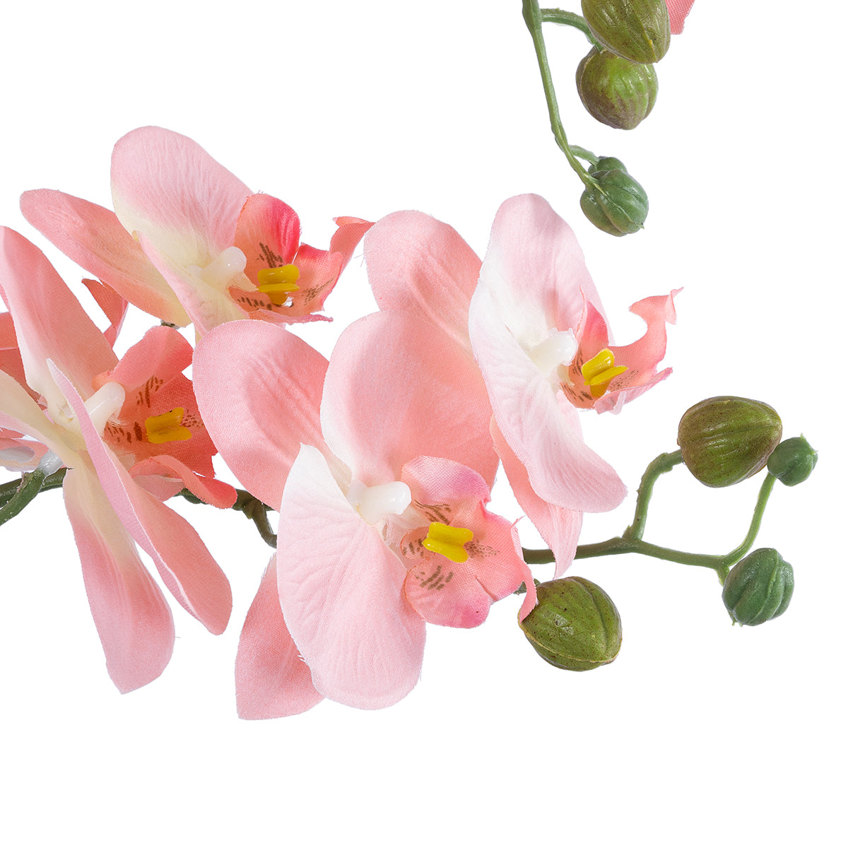 SALMON PINK ORCHID 21129 Διακοσμητικό Φυτό Φούξια Ορχιδέα Υ43cm