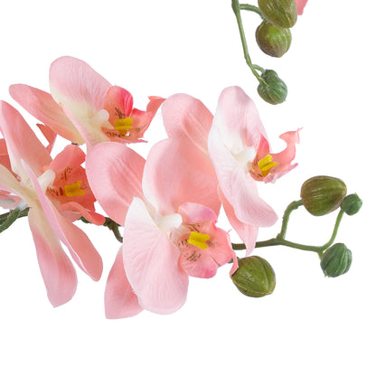 SALMON PINK ORCHID 21129 Διακοσμητικό Φυτό Φούξια Ορχιδέα Υ43cm