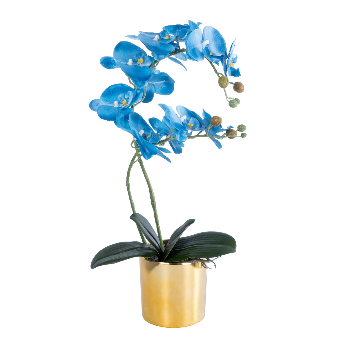 BLUE ORCHID 21130 Διακοσμητικό Φυτό Μπλε Ορχιδέα Υ43cm