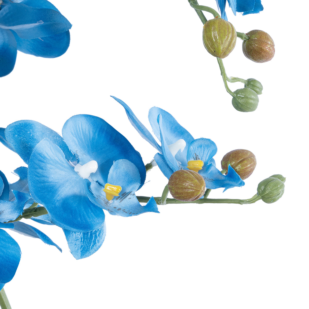 BLUE ORCHID 21130 Διακοσμητικό Φυτό Μπλε Ορχιδέα Υ43cm