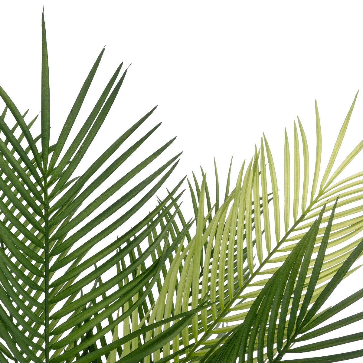 PALM TREE 21153 Τεχνητό Διακοσμητικό Δέντρο Φοίνικας Μ100 x Π50 x Υ90