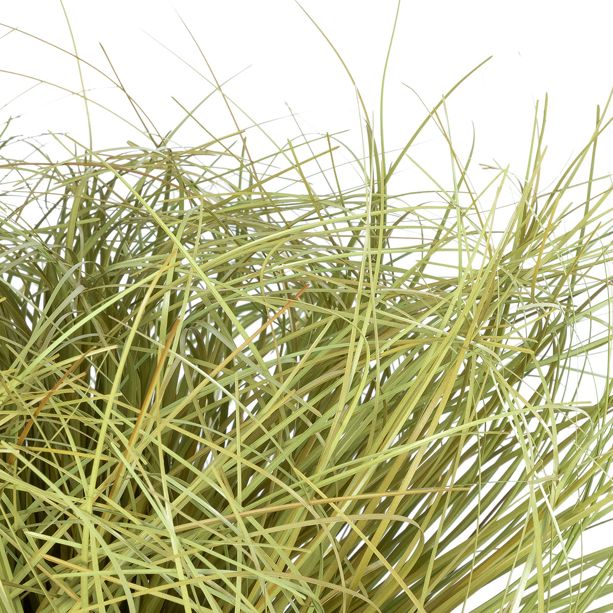 GRASS BUSH PLANT 21166 Τεχνητό Διακοσμητικό Φυτό Θάμνος Grass Π50cm Y30cm