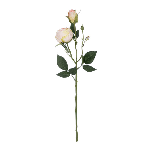 CHAMPAGNE DAMASK CLIMBING ROSE BRANCH 21198 Τεχνητό Διακοσμητικό Κλαδί Τριαντάφυλλο Σαμπανιζέ Y55cm