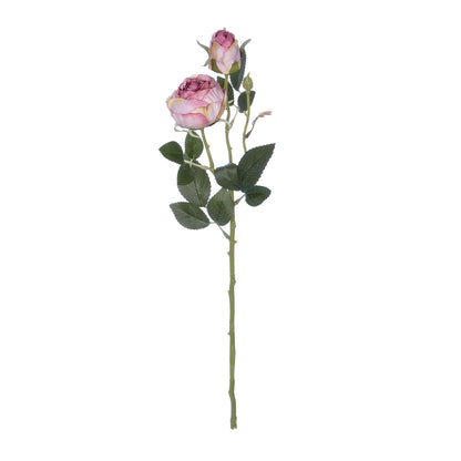 PINK DAMASK CLIMBING ROSE BRANCH 21199 Τεχνητό Διακοσμητικό Κλαδί Τριαντάφυλλο Σαμπανιζέ Y55cm