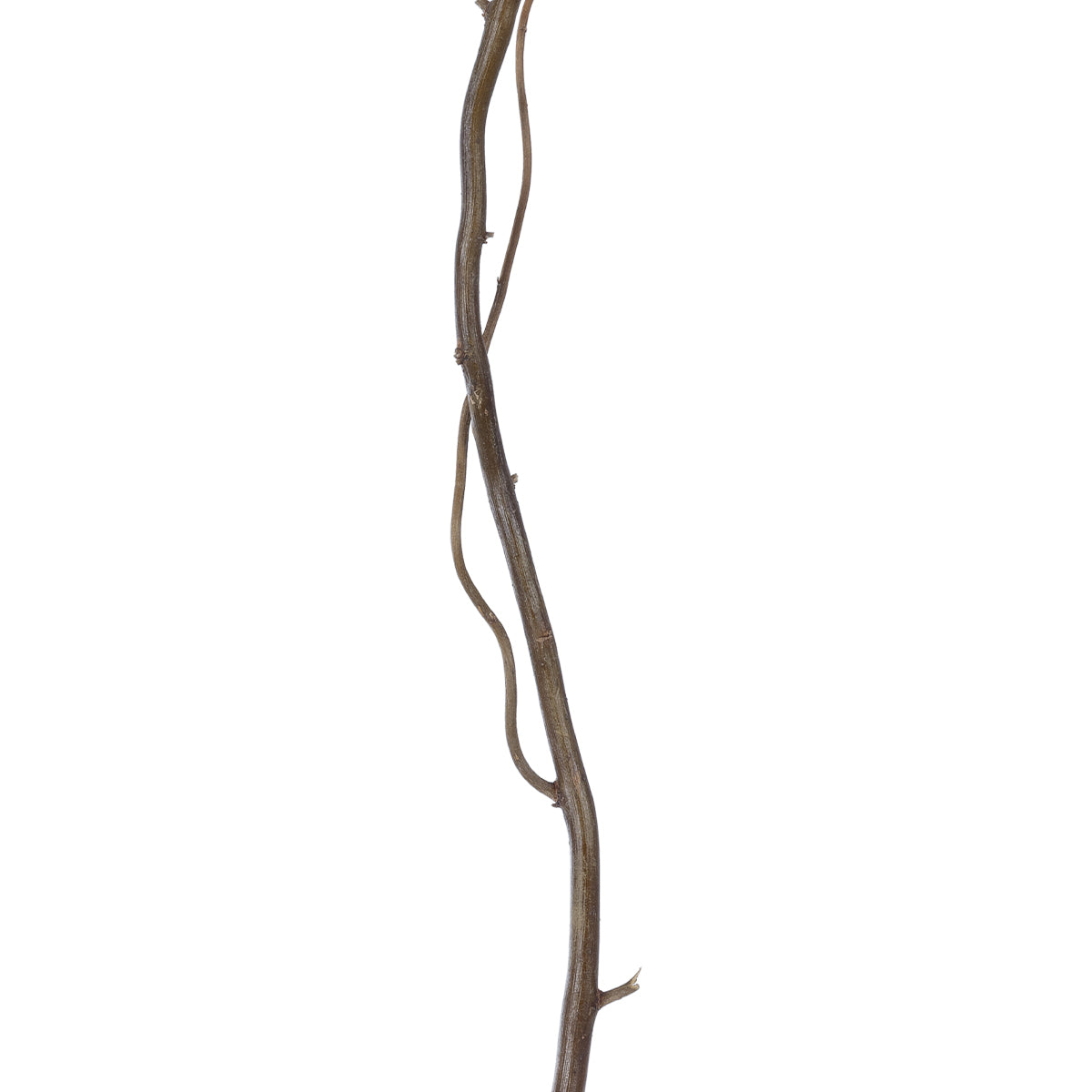 REAL DRIED WITHERED VINE STEM 21220 Τεχνητό Διακοσμητικό Κλαδί Αμπελιού Y120cm