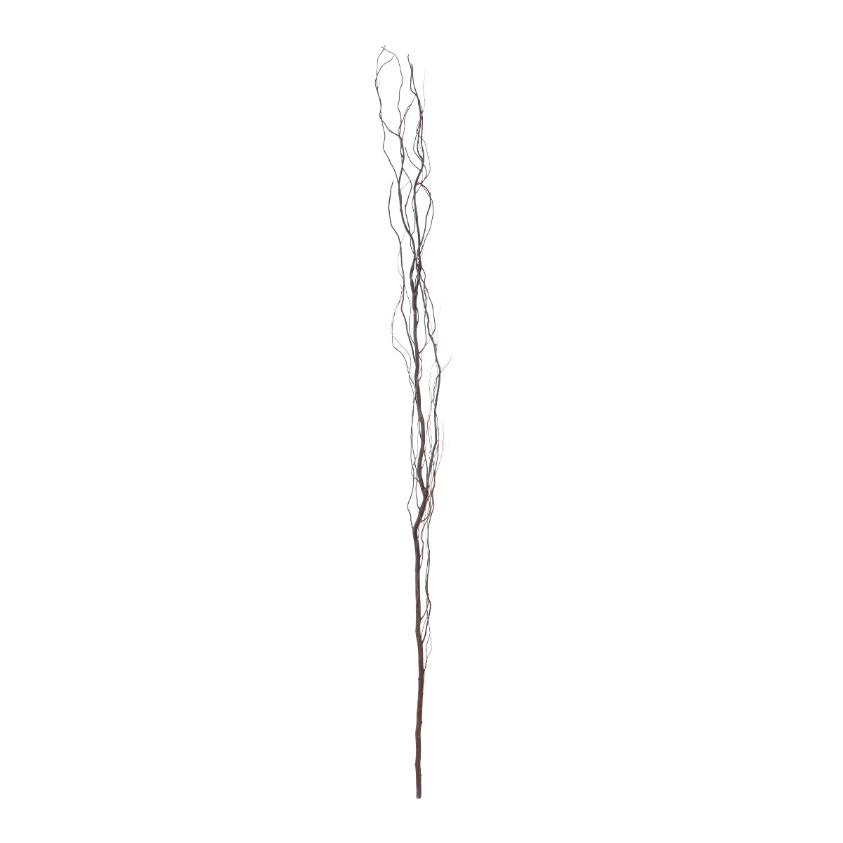 REAL DRIED WITHERED VINE STEM 21221 Τεχνητό Διακοσμητικό Κλαδί Αμπελιού Y180cm