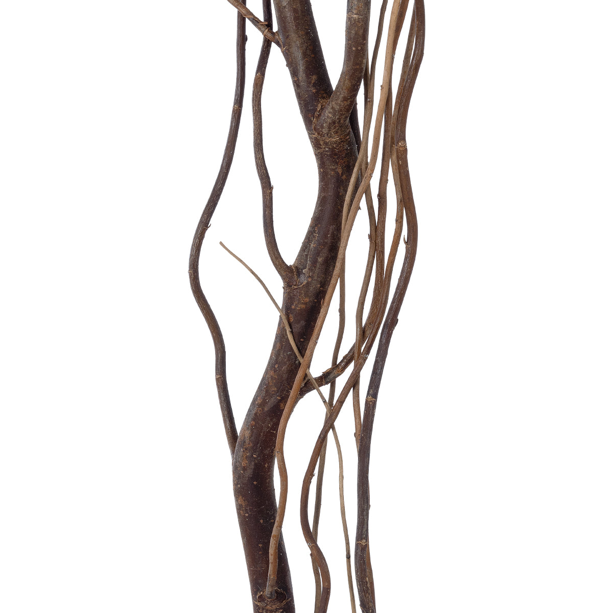 REAL DRIED WITHERED VINE STEM 21221 Τεχνητό Διακοσμητικό Κλαδί Αμπελιού Y180cm