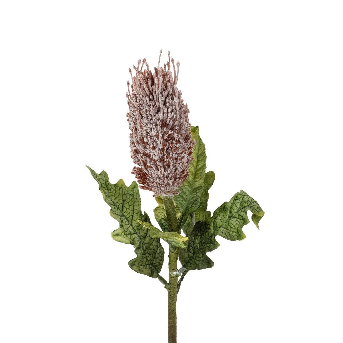 PURPLE STIPA FRUIT BRANCH 21375 Τεχνητό Διακοσμητικό Κλαδί Στίπα Y69cm