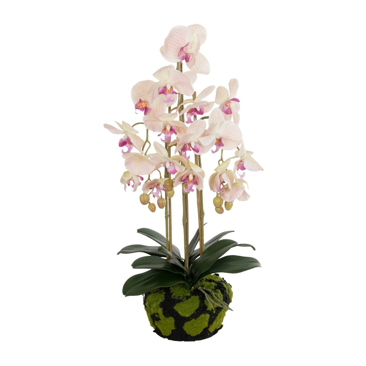 BUTTERFLY ORCHID BONSAI 21400 Τεχνητό Διακοσμητικό Φυτό Ορχιδέα Μ34 x Π27 x Υ65
