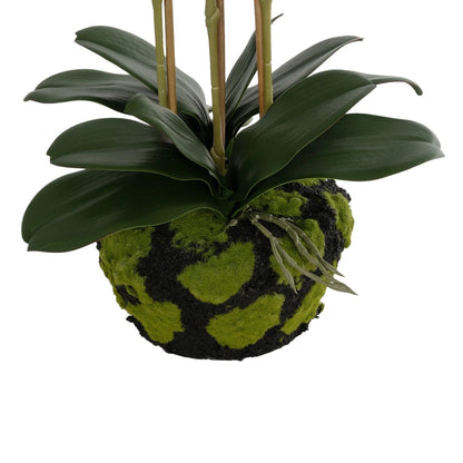 BUTTERFLY ORCHID BONSAI 21400 Τεχνητό Διακοσμητικό Φυτό Ορχιδέα Μ34 x Π27 x Υ65