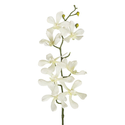 WHITE VANDA ORCHID BRANCH 21409 Τεχνητό Διακοσμητικό Κλαδί Λευκή Ορχιδέα Y82cm