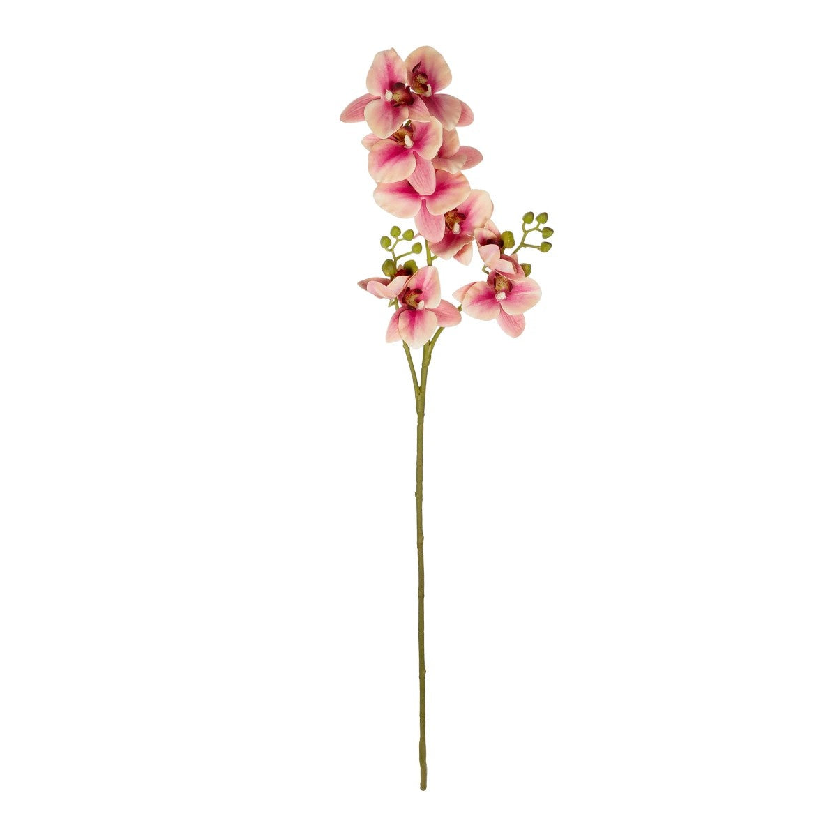 CHAMPAGNE PINK ORCHID BRANCH 21411 Τεχνητό Διακοσμητικό Κλαδί Σαμπανί Ορχιδέα Y70εκ