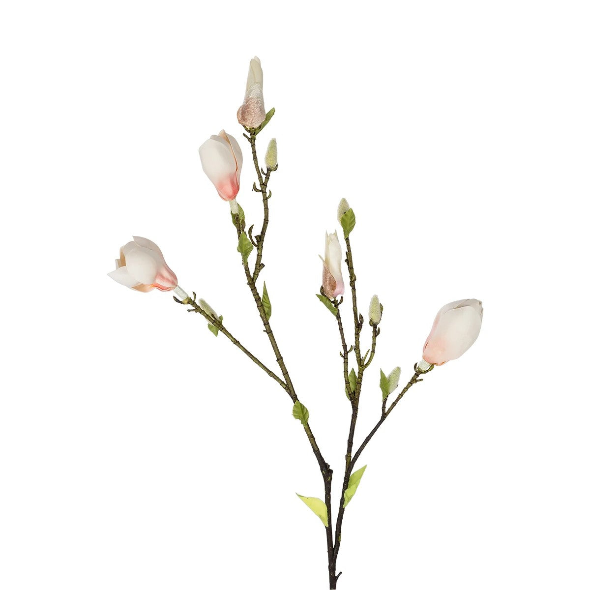 CHAMPAGNE MAGNOLIA BRANCH 21423 Τεχνητό Διακοσμητικό Κλαδί Σαμπανί Μαγνόλια Y100cm