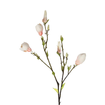 CHAMPAGNE MAGNOLIA BRANCH 21423 Τεχνητό Διακοσμητικό Κλαδί Σαμπανί Μαγνόλια Y100cm