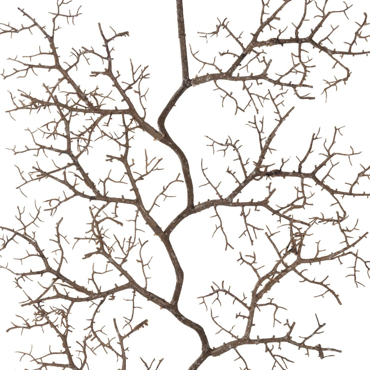 SMALL CORAL 21463 Τεχνητό Διακοσμητικό Κλαδί Καφέ Μ40 x Π7 x Υ142