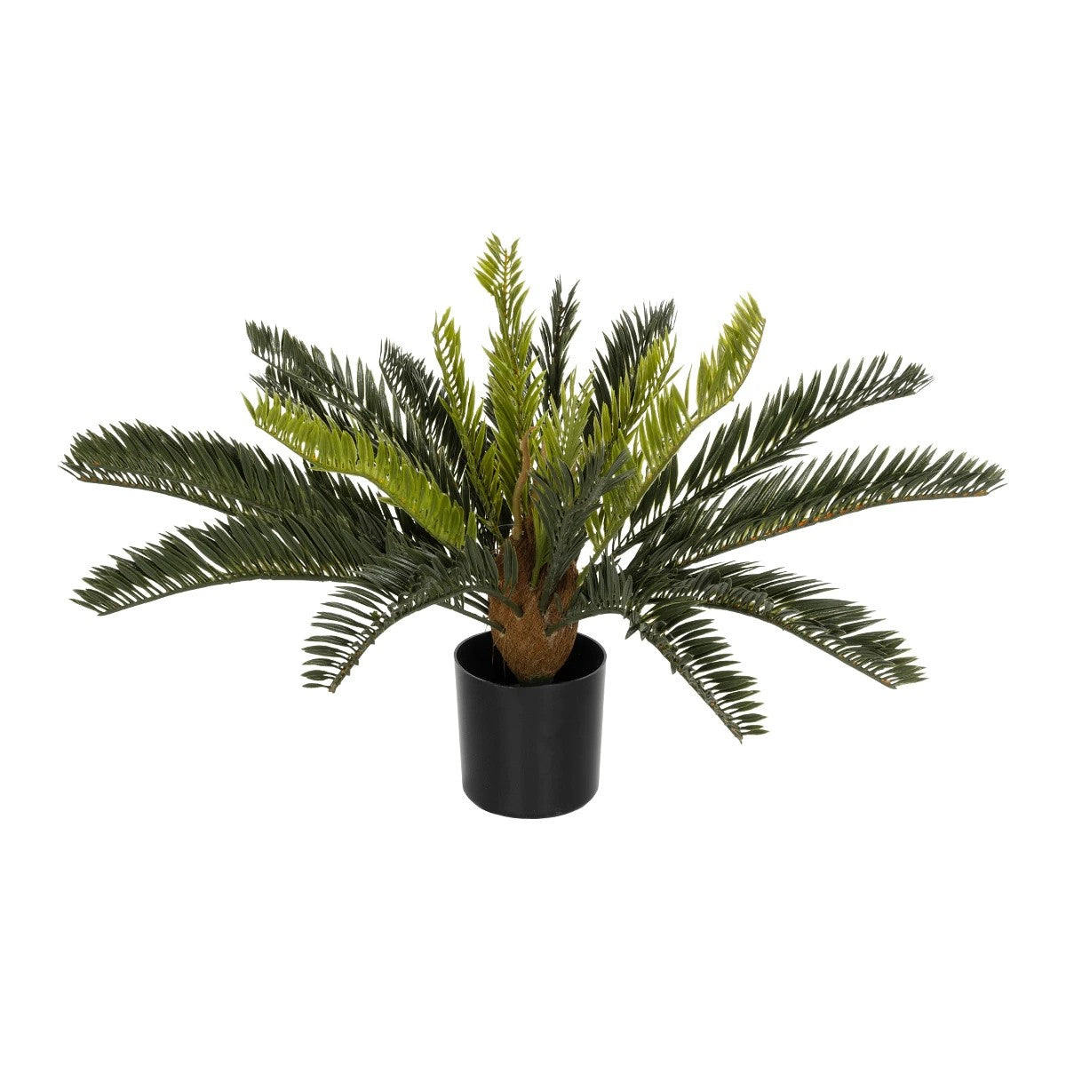CYCAS 21474 Τεχνητό Διακοσμητικό Φυτό Κύκας Υ42cm