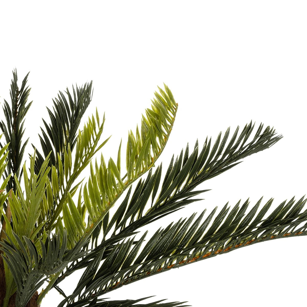 CYCAS 21474 Τεχνητό Διακοσμητικό Φυτό Κύκας Υ42cm