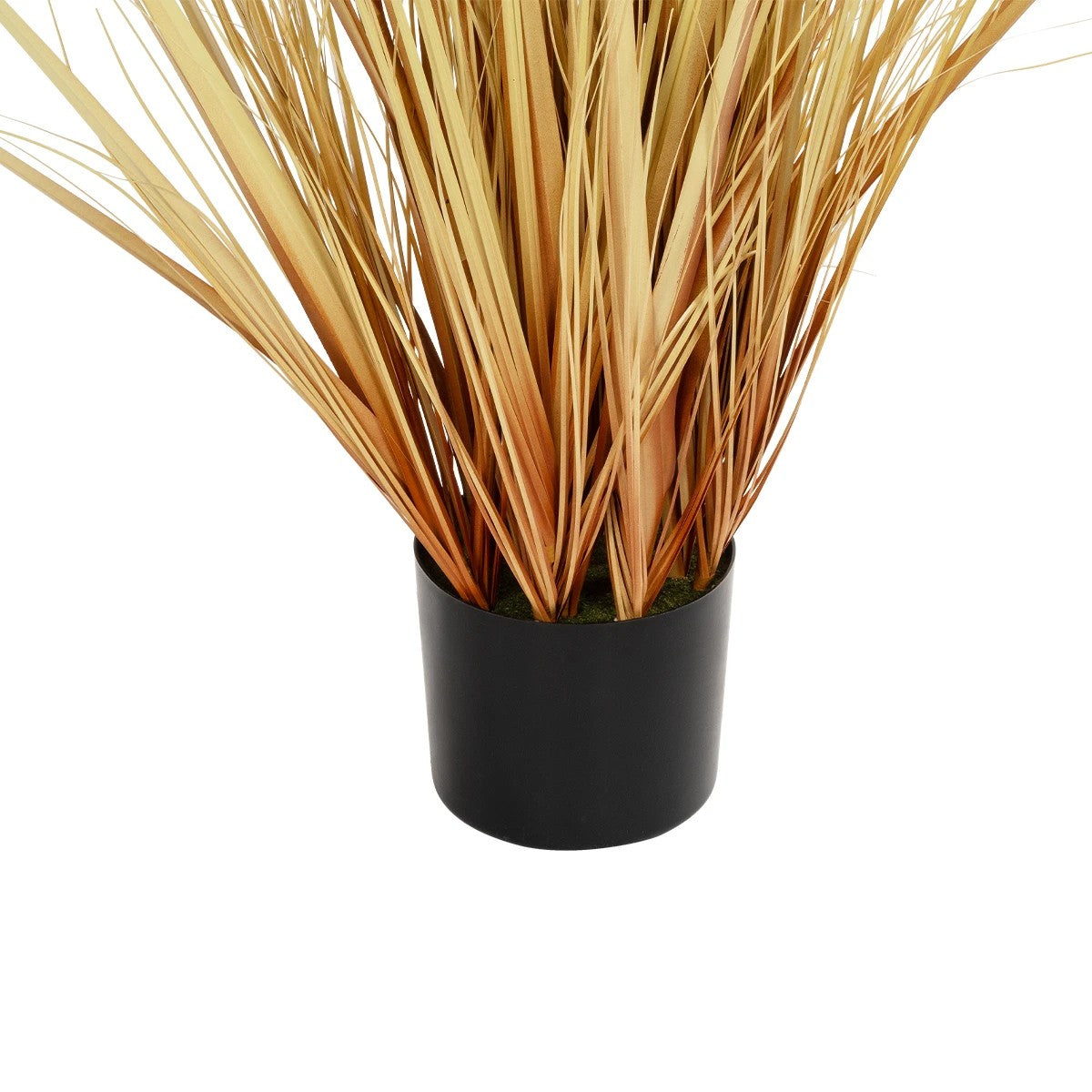 PAMPAS GRASS 21476 Τεχνητό Διακοσμητικό Φυτό Μπεζ Πάμπας Μ90 x Π40 x Υ150