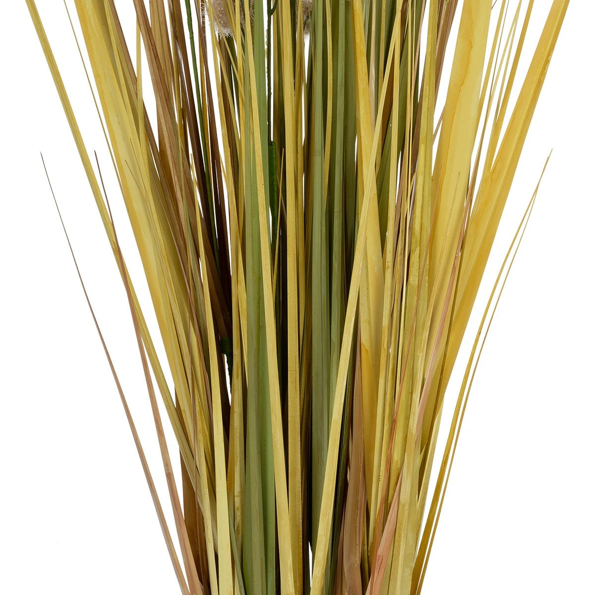 CRASPEDIA GRASS 21479 Τεχνητό Διακοσμητικό Φυτό Κρασπέδια Υ120cm