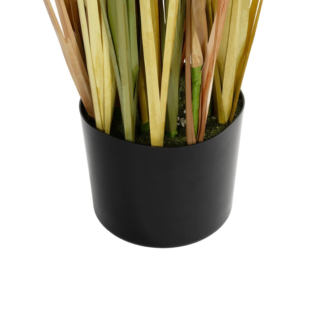 CRASPEDIA GRASS 21479 Τεχνητό Διακοσμητικό Φυτό Κρασπέδια Υ120cm