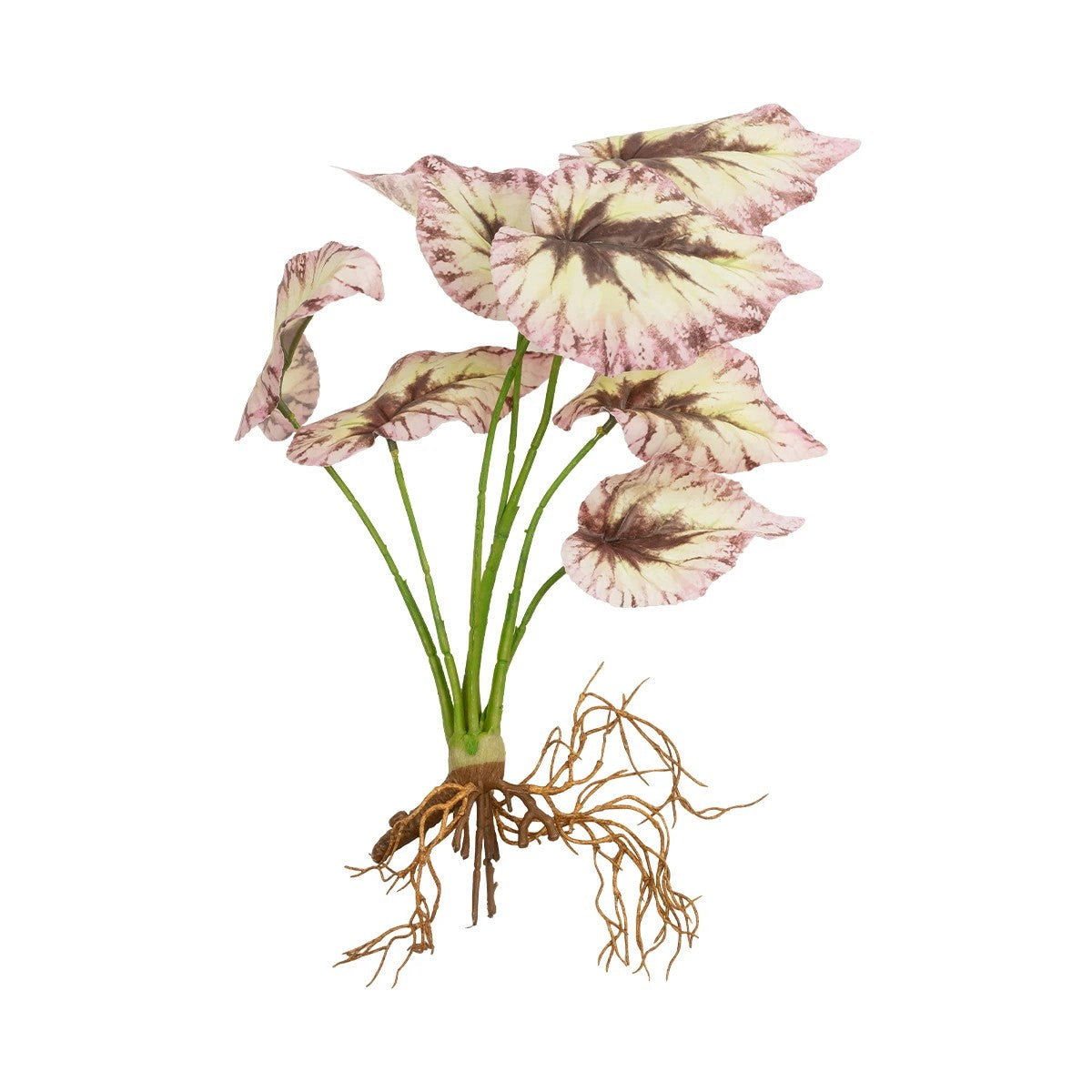 BEGONIA LEAVES ROOTED 21489 Τεχνητό Διακοσμητικό Φυτό Πολύχρωμη Βιγόνια Μ25 x Π14 x Υ35