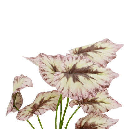 BEGONIA LEAVES ROOTED 21489 Τεχνητό Διακοσμητικό Φυτό Πολύχρωμη Βιγόνια Μ25 x Π14 x Υ35