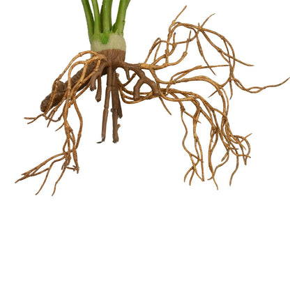 BEGONIA LEAVES ROOTED 21489 Τεχνητό Διακοσμητικό Φυτό Πολύχρωμη Βιγόνια Μ25 x Π14 x Υ35