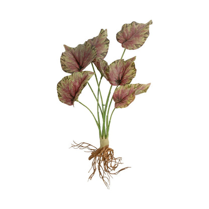 BEGONIA LEAVES ROOTED 21490 Τεχνητό Διακοσμητικό Φυτό Πολύχρωμη Βιγόνια Μ25 x Π14 x Υ35