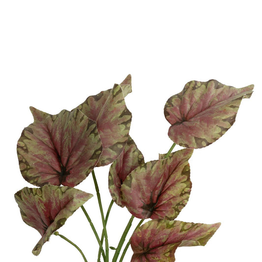 BEGONIA LEAVES ROOTED 21490 Τεχνητό Διακοσμητικό Φυτό Πολύχρωμη Βιγόνια Μ25 x Π14 x Υ35