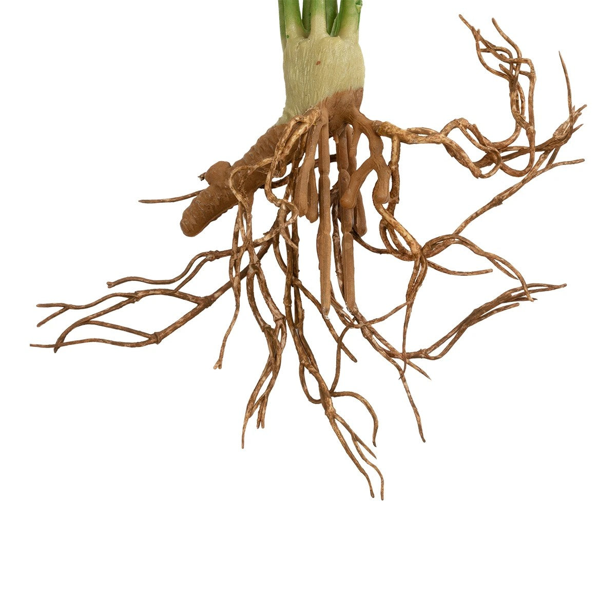 BEGONIA LEAVES ROOTED 21490 Τεχνητό Διακοσμητικό Φυτό Πολύχρωμη Βιγόνια Μ25 x Π14 x Υ35