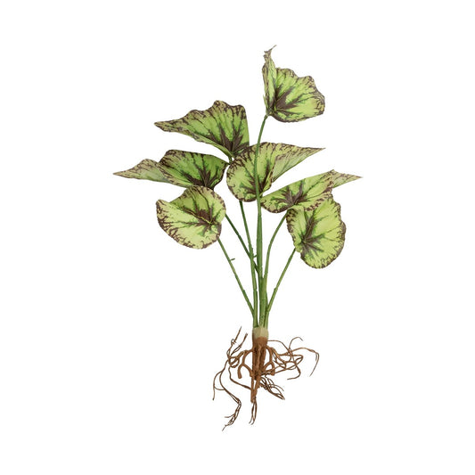 BEGONIA LEAVES ROOTED 21491 Τεχνητό Διακοσμητικό Φυτό Πολύχρωμη Βιγόνια Μ25 x Π14 x Υ35