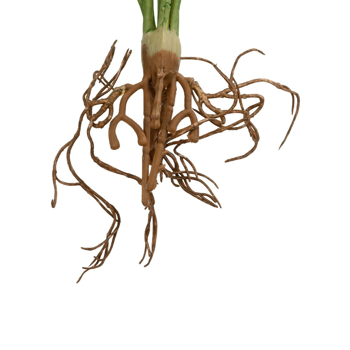 BEGONIA LEAVES ROOTED 21491 Τεχνητό Διακοσμητικό Φυτό Πολύχρωμη Βιγόνια Μ25 x Π14 x Υ35