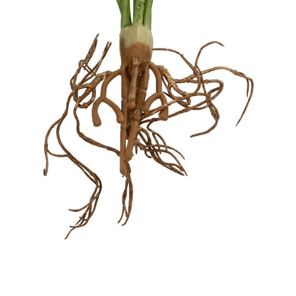 BEGONIA LEAVES ROOTED 21491 Τεχνητό Διακοσμητικό Φυτό Πολύχρωμη Βιγόνια Μ25 x Π14 x Υ35