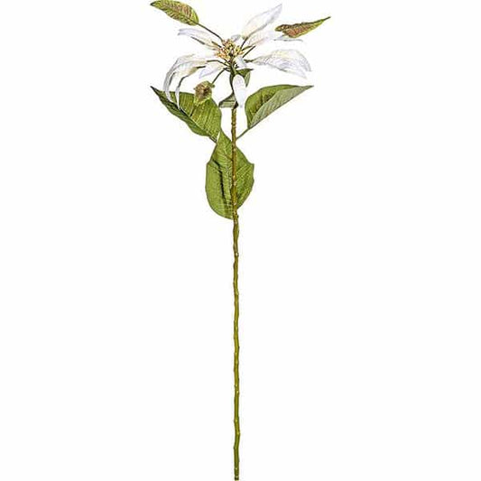 Κλαδί Αλεξανδρινό Εκρού 67εκ