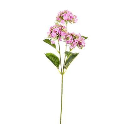 Κλαδί Ορτανσία Υδράγγεια 65εκ